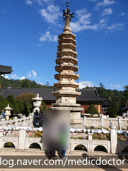 대관령 삼양목장, 오대산 월정사 : 평창 한화리조트
