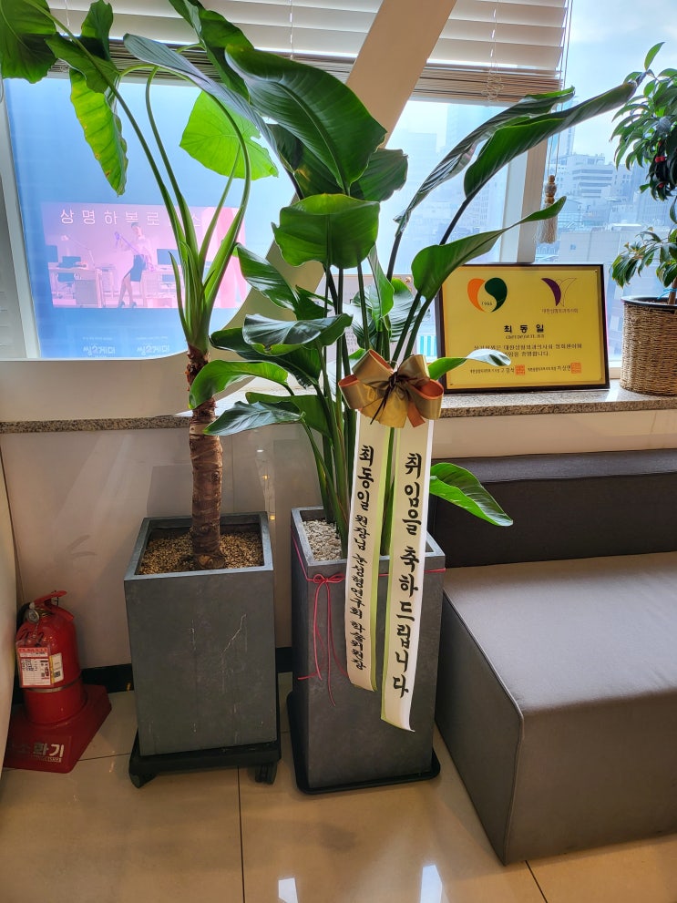 대한성형외과학회 눈성형연구회 학술위원장 취임 (2021 12 ~2023 12)