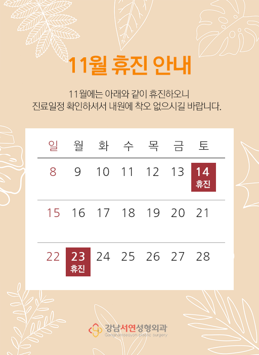 11월 휴진 일정 안내